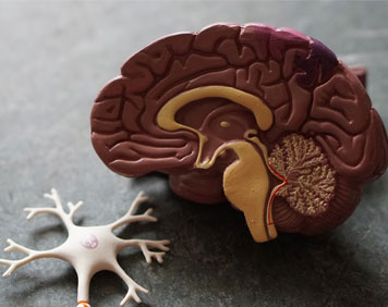 Best Neurologist in India
