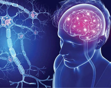 Best Neurologist in India